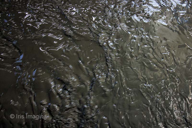 Wet sludge from the lake water