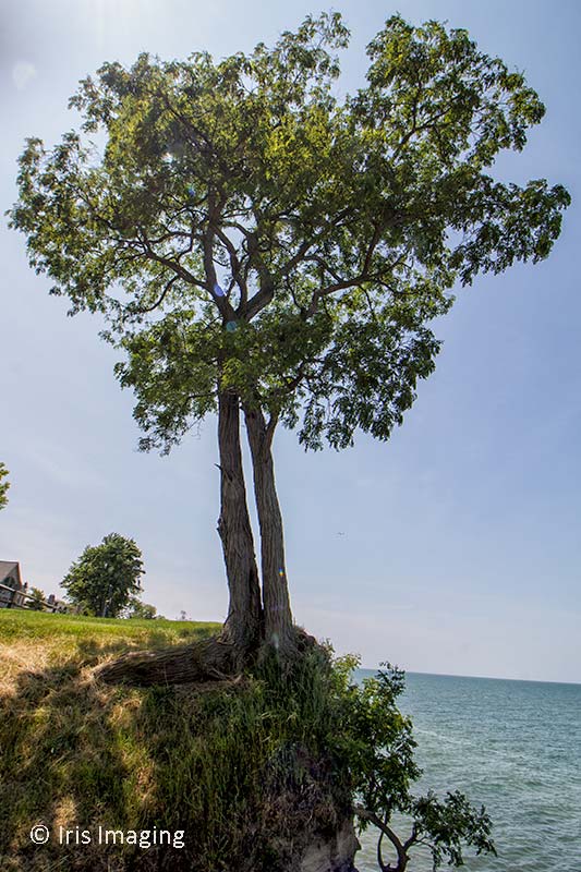 Along the shore line