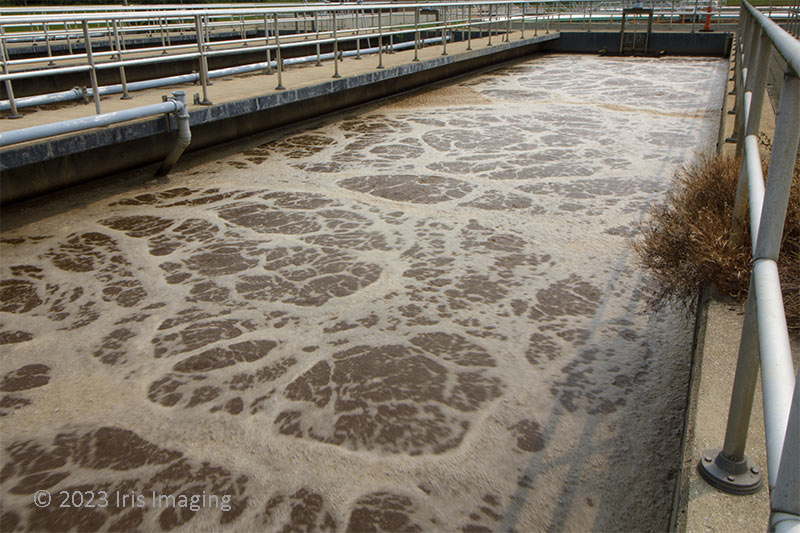 Good bacteria devouring harmful oxygen loving bacteria