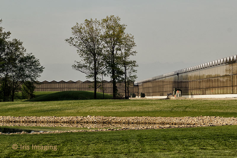 Green CIrcle Growers Plant