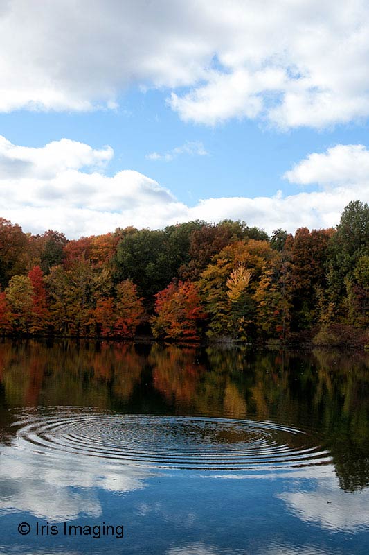 Koinonia Lake Park Associates