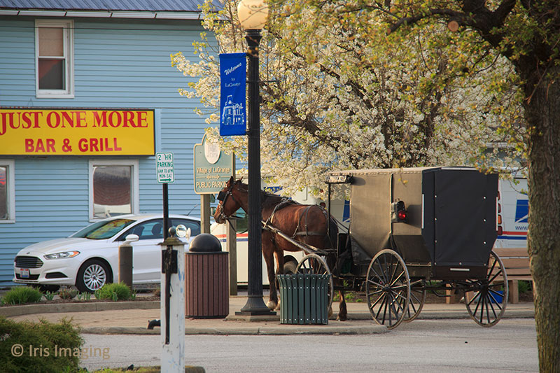 Amish farmer selling pies
